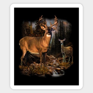 White Tail Deer Sticker